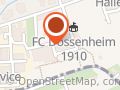 Reit-, Fahr- und Pferdezucht- verein Dossenheim e. V.