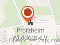 American Football Pforzheim Wilddogs e.V.