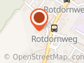 Viola Jelen