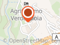Verdegioia Orchidee