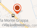 Il bergamotto