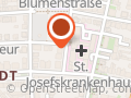 Scholz Else Dr.med. Lungenfachärztin