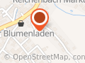 Anglo Nubier Ziegen