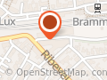 Forza Leasing Bramming