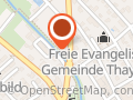 Stamm Gartenbau GmbH