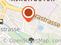 Palisis
