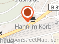 Narrenzunft Strumpfkugler Immendingen e.V.