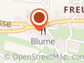 Restaurant Blume Freudwil