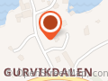 Vegard Karle Holm