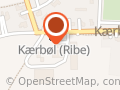 Ribe Digelag