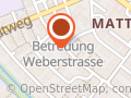 Mein Gefährte - Corinne Messikommer