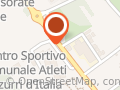 Altobelli Tennis Team