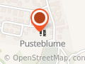 Pusteblume