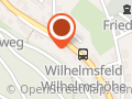 Wilhelmsfelder Kerwelauf