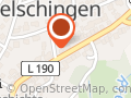 Reiningpferde