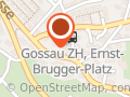 Verkehrsverein Gossau ZH