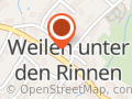 Narrenzunft Weilen u.d.R.