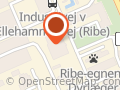 FIAT RIBE
