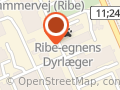 ribe dyreklinik