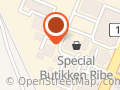 Synshallen Ribe