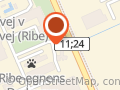 Ribe Carshine