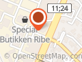 BilsynRibe.dk