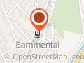 Bammental