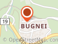 Bludera