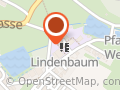 Shinrin Yoku Schweiz - Waldbaden Institut Schweiz