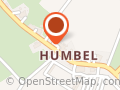 Hundeschule Humbel Hunde