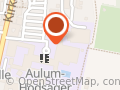 Aulum Skytteforening