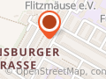 Lustige Flitzmäuse e.V.