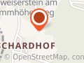 www.stein-hammelbach.de Weihnachtsbäume direkt aus dem Wald
