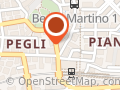 Il Pitosforo - Fiori e Piante