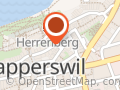 Elsener Messerschmied AG Rapperswil