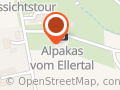 Alpakas vom Ellertal