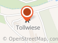 Tollwiese Welpen- und Hundeschule