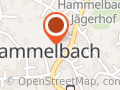 Hammelbacher Döner & Pizzahaus