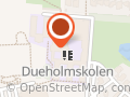 Dueholmskolen