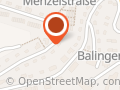 Rehfuß Rainer