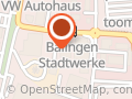 Truck & Bus Service Service Balingen