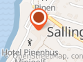 Hotel Pinenhus ApS