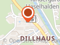 Auto-Dillhaus