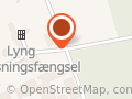 Kriminalforsorgen Pensionen Lyng
