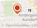 Kinesiologie Praxis