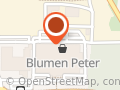 Blumen Peter im EKZ