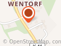 Netzphaenomen Online Marketing