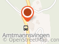Amtmannsvingen Frisør AS
