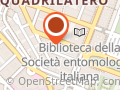 Pagallo Elisa