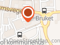 Norsk Narkotikapolitiforening/ Hallingdal